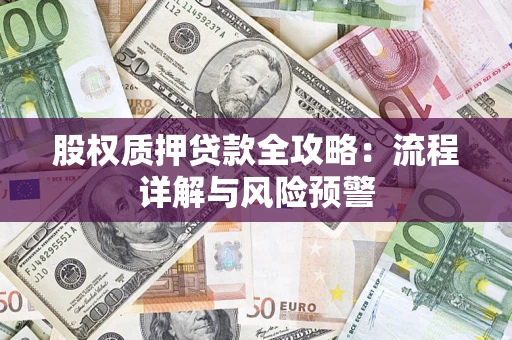 北京股权质押贷款全攻略：流程详解与风险预警