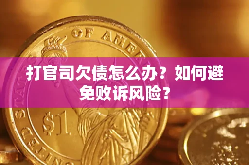 北京打官司欠债怎么办？如何避免败诉风险？