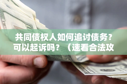 北京共同债权人如何追讨债务？可以起诉吗？（速看合法攻略）
